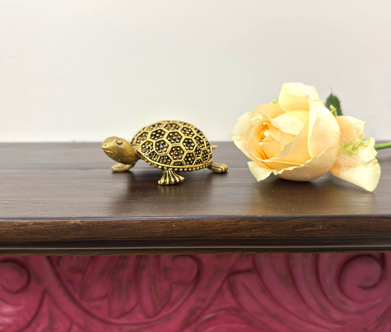 This Brass Tortoise with curved bottom is made of fine Brass having Golden Yellow finish.