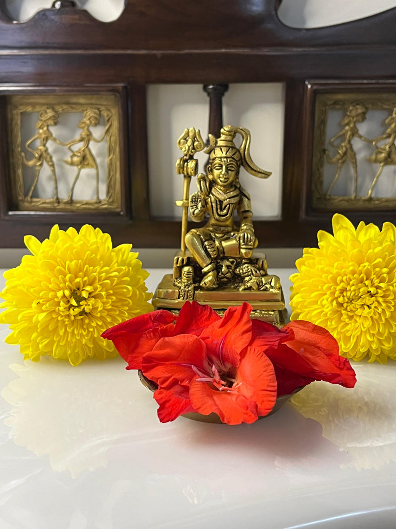 The image of Shiva in the blessing posture encourages peace