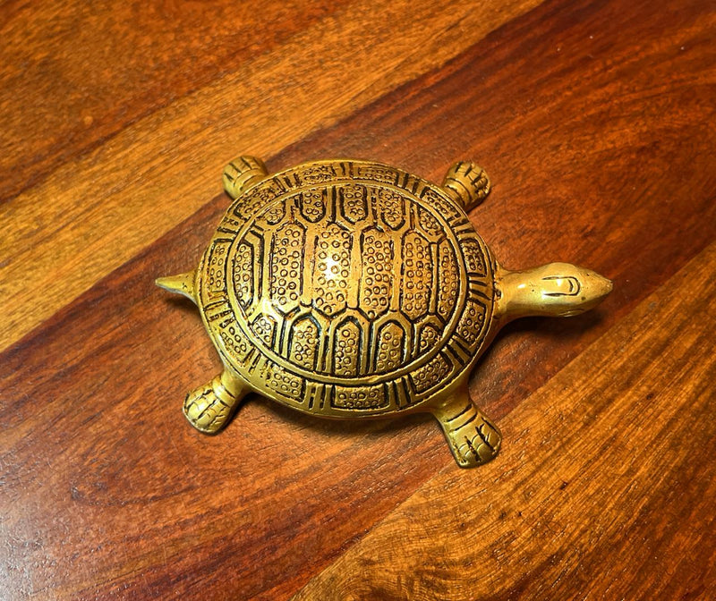 The tortoise is an auspicious symbol and would bring good health, longevity and fortunes to you.
