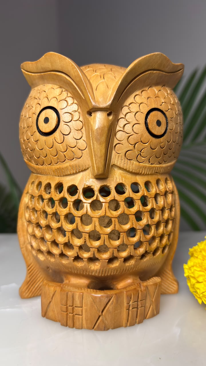 Owl with in an Owl: 
