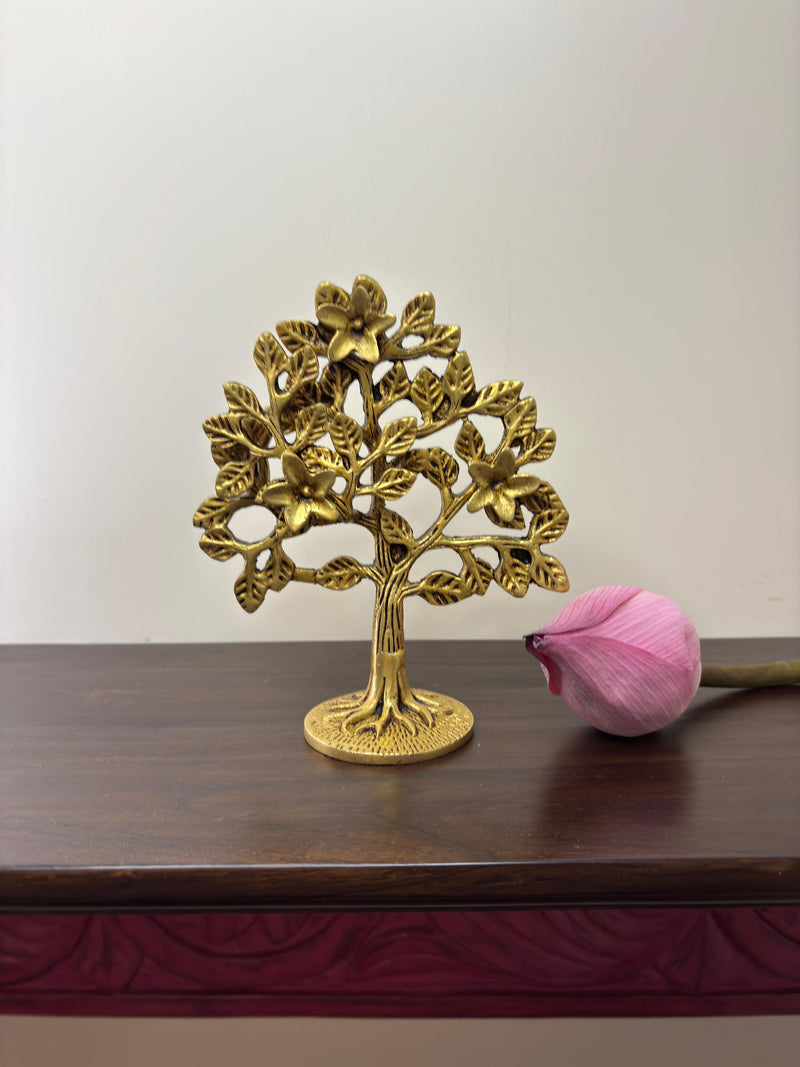 Symbol of Abundance