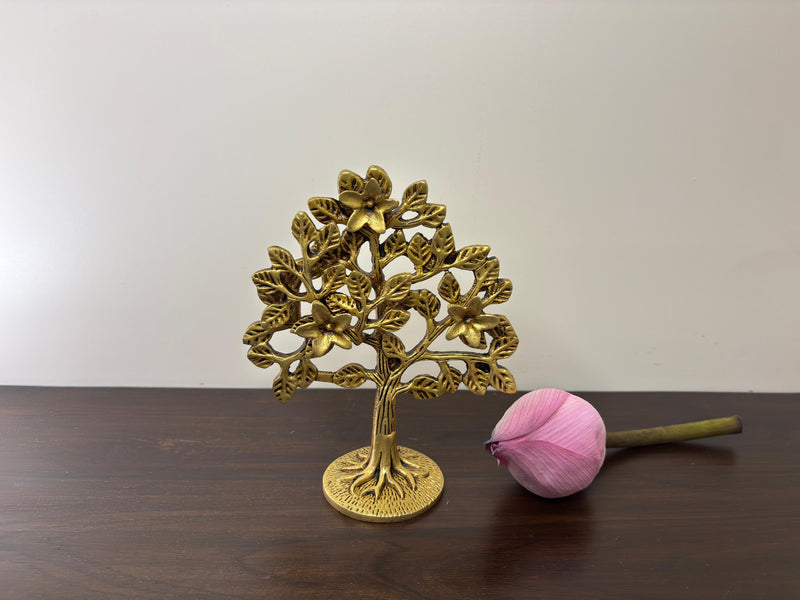 A Perfect Gift for any Occasion